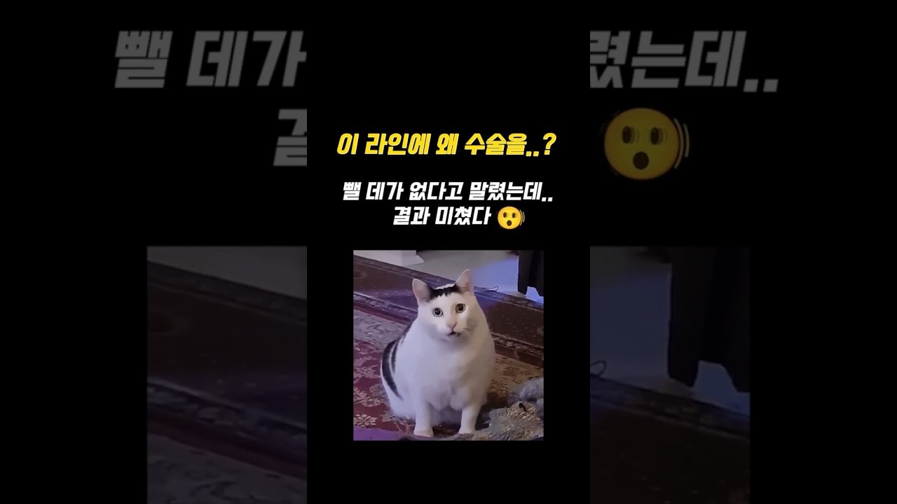 라인 너무 예뻐서 수술 말렸는데요… 비포애프터 보실래요? #shorts